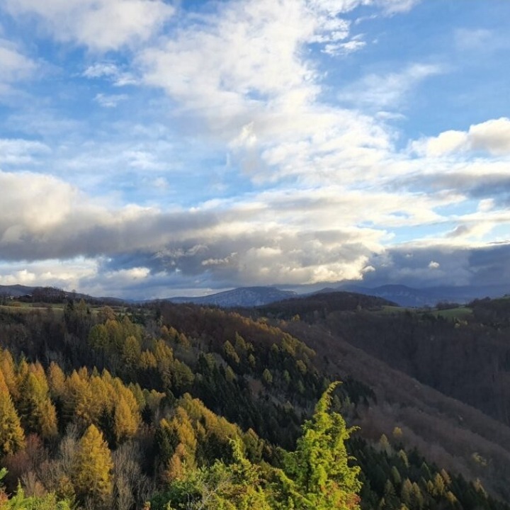 Photo de Gerard DAMIER